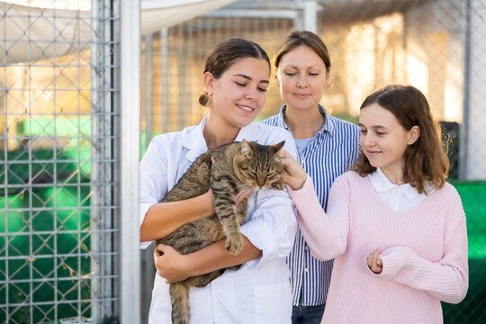Positive young female volunteer showing big gray tabby cat to preteen girl visiting animal shelter with mother for adopting pet, standing near outdoor kennels