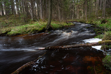 A small forest stream with sandstone outcrops