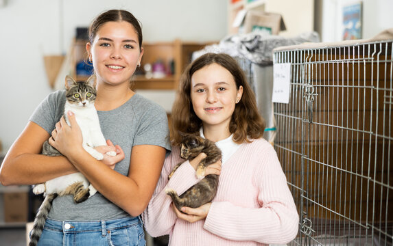 Cheerful caring tween girl and her older sister holding adopted slightly frightened cat and curious little kitten 