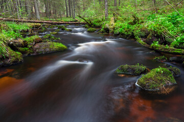 A small forest stream with sandstone outcrops, ligatne