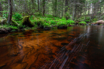 A small forest stream with sandstone outcrops, ligatne