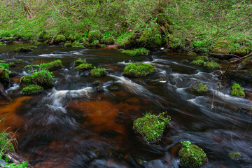 A small forest stream with sandstone outcrops, ligatne