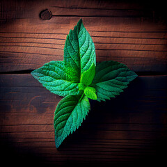 mint leaves on wooden background