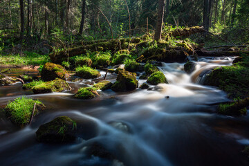 A small forest stream with sandstone outcrops, ligatne