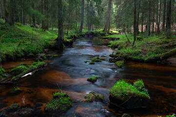 Obraz premium A small forest stream with sandstone outcrops