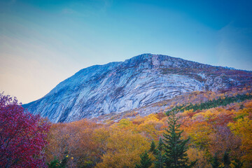 Scenic View in the Fall