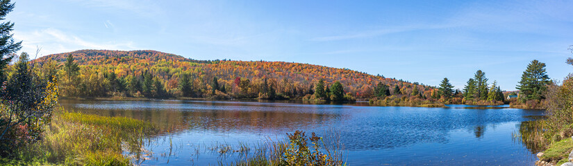 Scenic View in the Fall