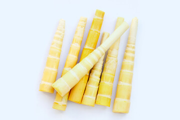 Bamboo shoots on white background.