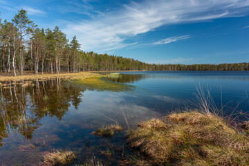 early morning on a swamp lake