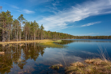 early morning on a swamp lake