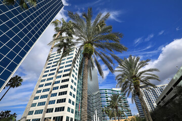 Fototapeta na wymiar Looking up at the downtown Orlando skyline, steps away from Lake Eola in Orlando, Florida, USA. 