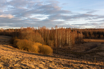 Fototapeta premium Cultivated crop fields in the spring
