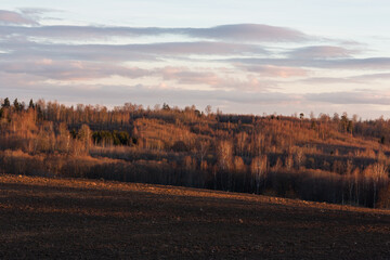 Fototapeta premium Cultivated crop fields in the spring