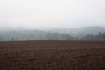 Cultivated crop fields in the spring