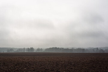 Cultivated crop fields in the spring