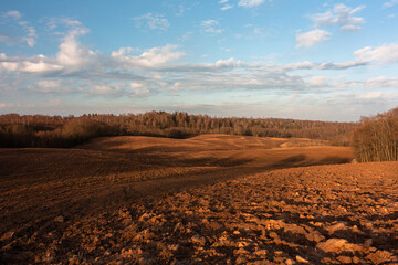 Cultivated crop fields in the spring