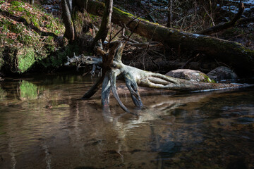 Small Forest Stream With Waterfalls in Winter With Icicles