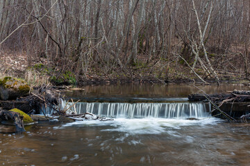 a small forest river with waterfalls and fallen trees in the river