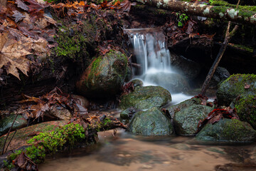 a small forest river with waterfalls and fallen trees in the river