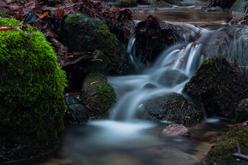 A small forest stream with sandstone outcrops