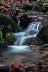 Fototapeta premium A small forest stream with sandstone outcrops