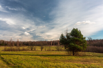 Fototapeta na wymiar Spring in the Latvian countryside