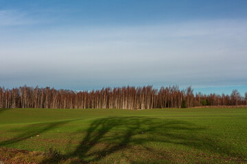 Obraz premium Spring in the Latvian countryside