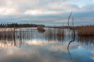 autumn landscapes of swamp lakes