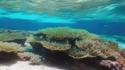 seascape in the shallow water of the coral reef in caribbean sea, Generative AI