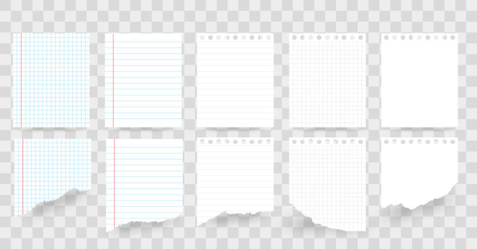 Blank sheets of square and lined paper.paper blank sheets . Set of Torn paper.Ripped paper.Vector