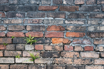 Old grunge brick wall background