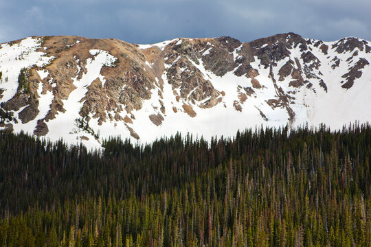 Mountains rise above a forest decimated by bark beetles in Baker Gulch, Never Summer Wilderness, Colorado.