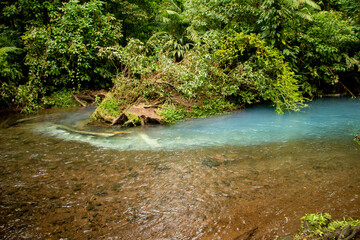 small river in the forest