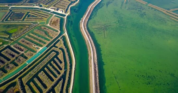 Asphalt road divides boundless lagoon with algal water bloom and countless ennobled polders by Venice on sunny day aerial view