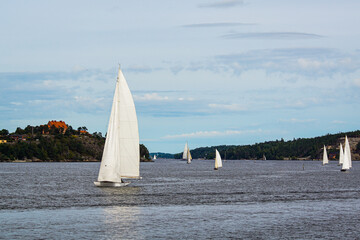 sailing on the lake