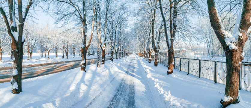 Snow path through winter park on a sunny day. Beautiful magical winter panorama.