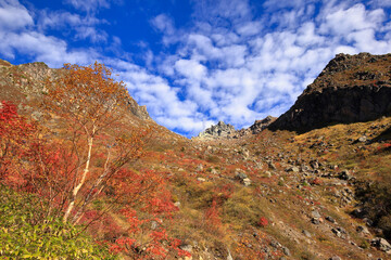 秋の紅葉の焼岳の登山道の風景