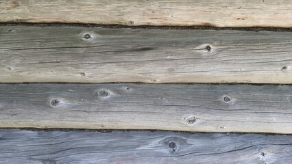 Obraz premium wood grain tree background texture backdrop