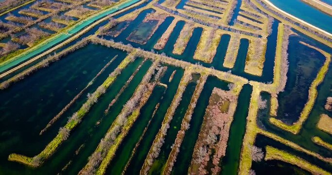 Motion over boundless Venice bay streams of blue color flowing among ennobled polders on warm sunny winter day bird eye view