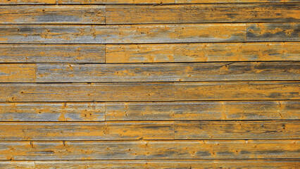 wood grain tree background texture backdrop