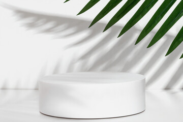 White round pedestal on a white background. Palm branches. Shadows from palm branches.