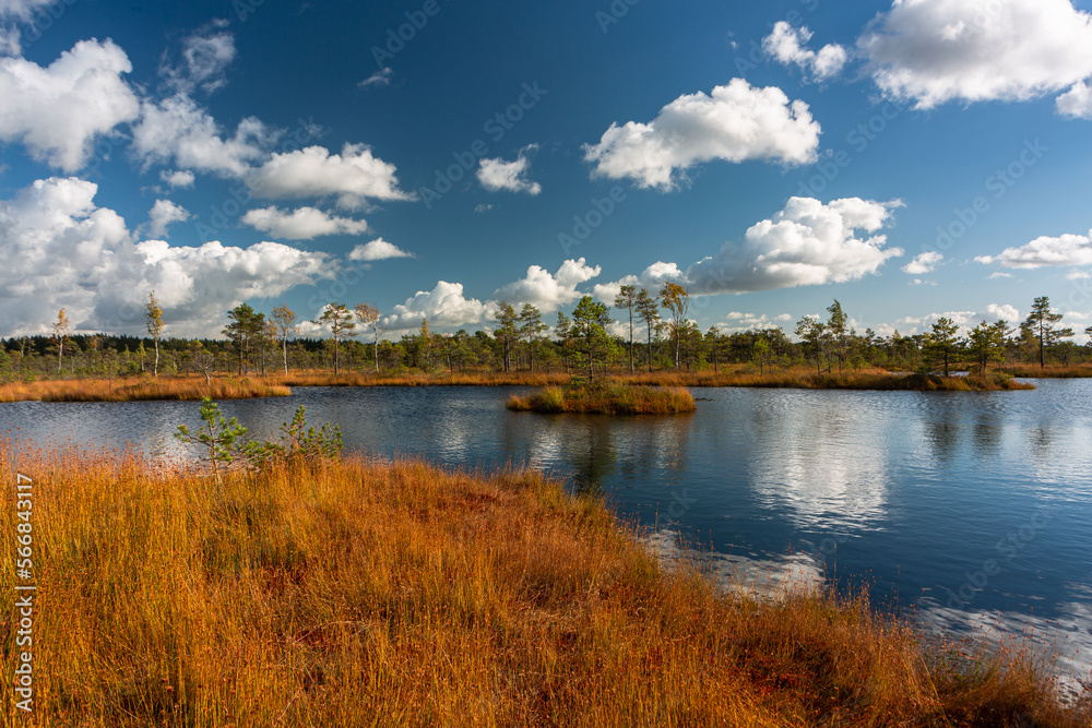 Wall mural Summer Landscapes of Swamp Lakes with Clouds