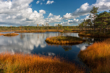 Summer Landscapes of Swamp Lakes with Clouds