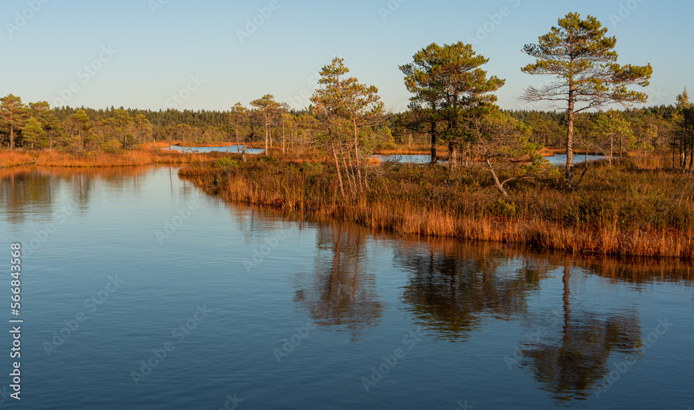 Wall mural Summer Landscapes of Swamp Lakes with Clouds