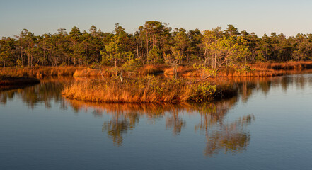 Summer Landscapes of Swamp Lakes with Clouds