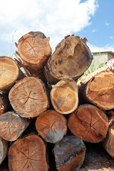 Closeup of pile of trunks of felled trees in countryside of Brazil