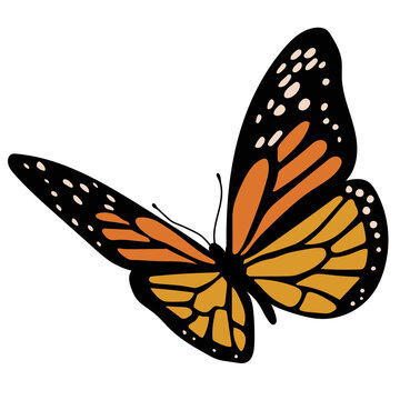 Butterfly Garden Illustration 