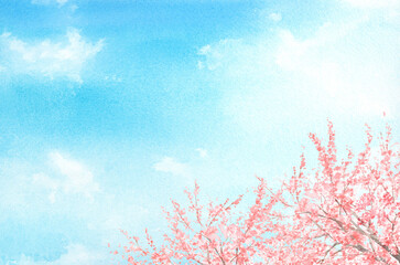 桜と青空の水彩画