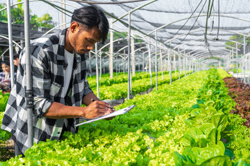 smart young Asian farmer records the quality and quantity of an organic hydroponic vegetable garden.