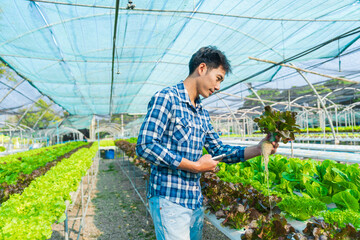 smart young Asian farmer records the quality and quantity of an organic hydroponic vegetable garden.